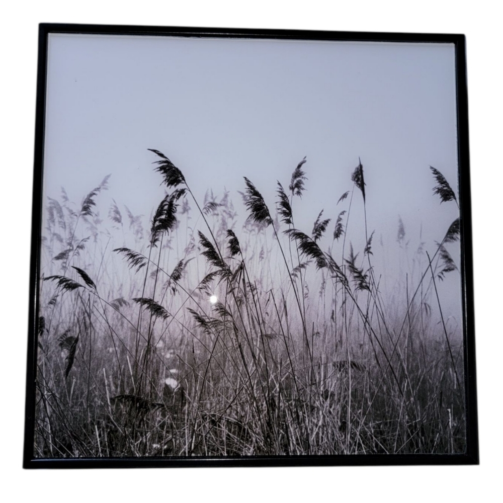 (C) Black/White Crystal Glass Wall Decor - Picture 2 of 5